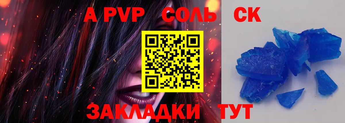 A PVP СК КРИС Архангельск