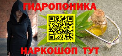 крисы Ангарск