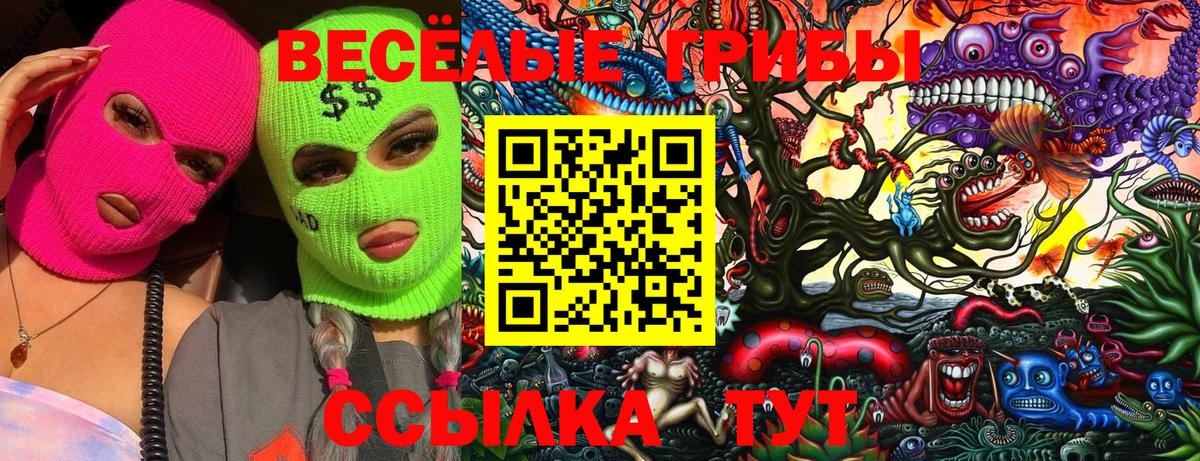 Галлюциногенные грибы Cubensis Архангельск